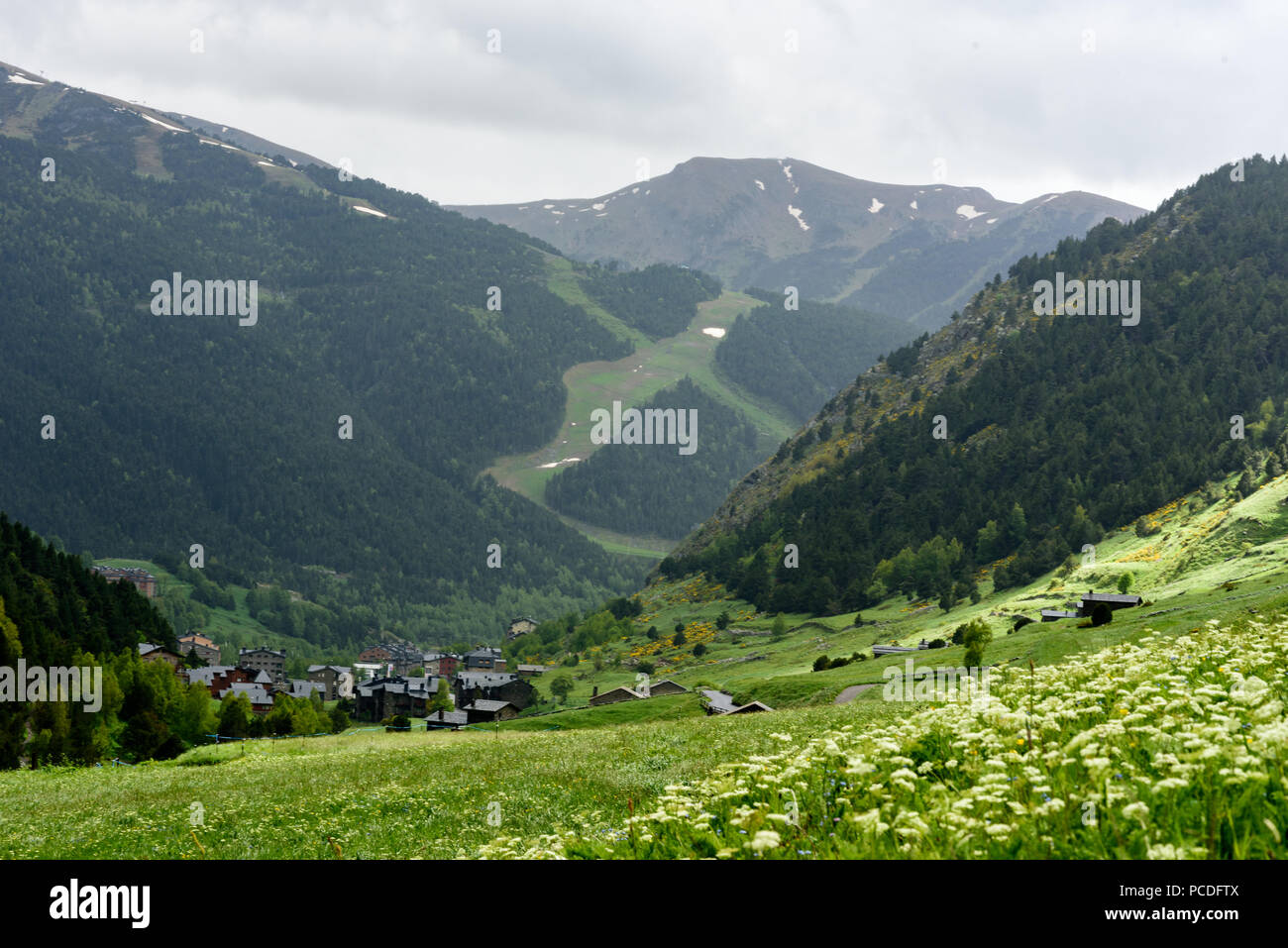 Sommer in der Vall d Incles, Canillo, Andorra Stockfoto