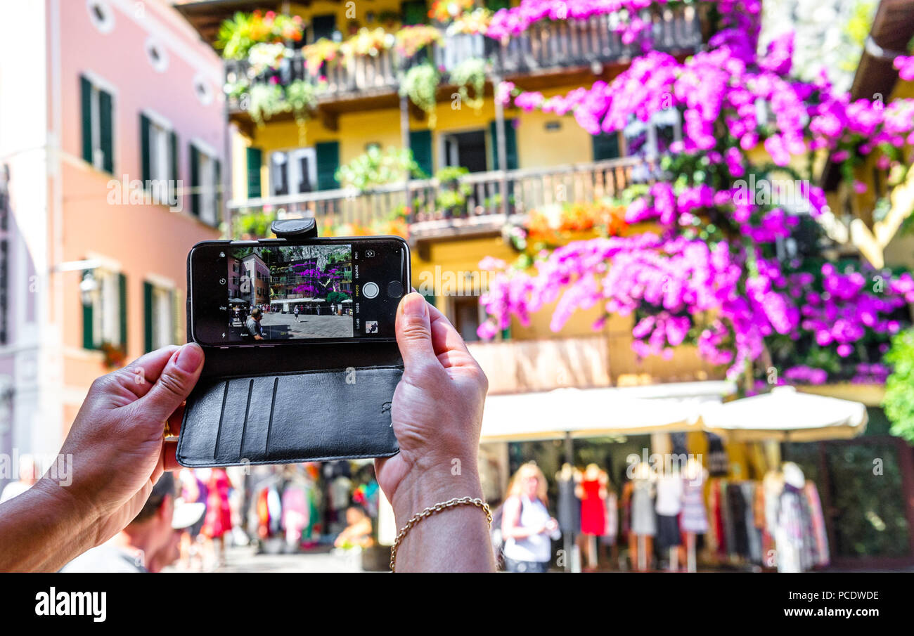 Lila hängenden Blüten von Balkonen in Limone sul Garda, Italien mit einem iphone. Stockfoto