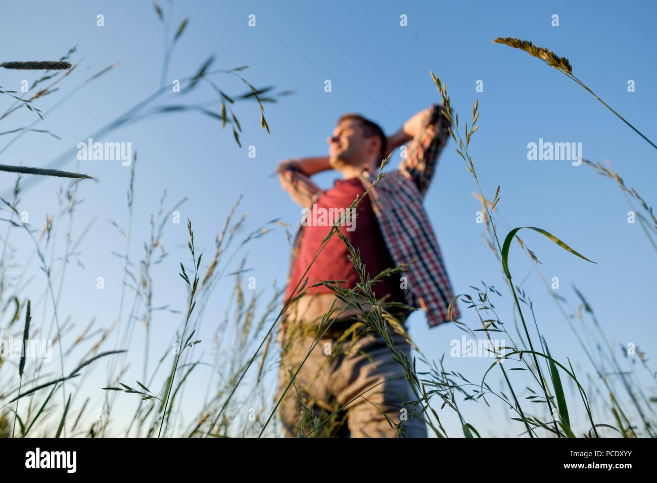 Junge kaukasier gutaussehenden Mann in einem Feld bei sunse Stockfoto