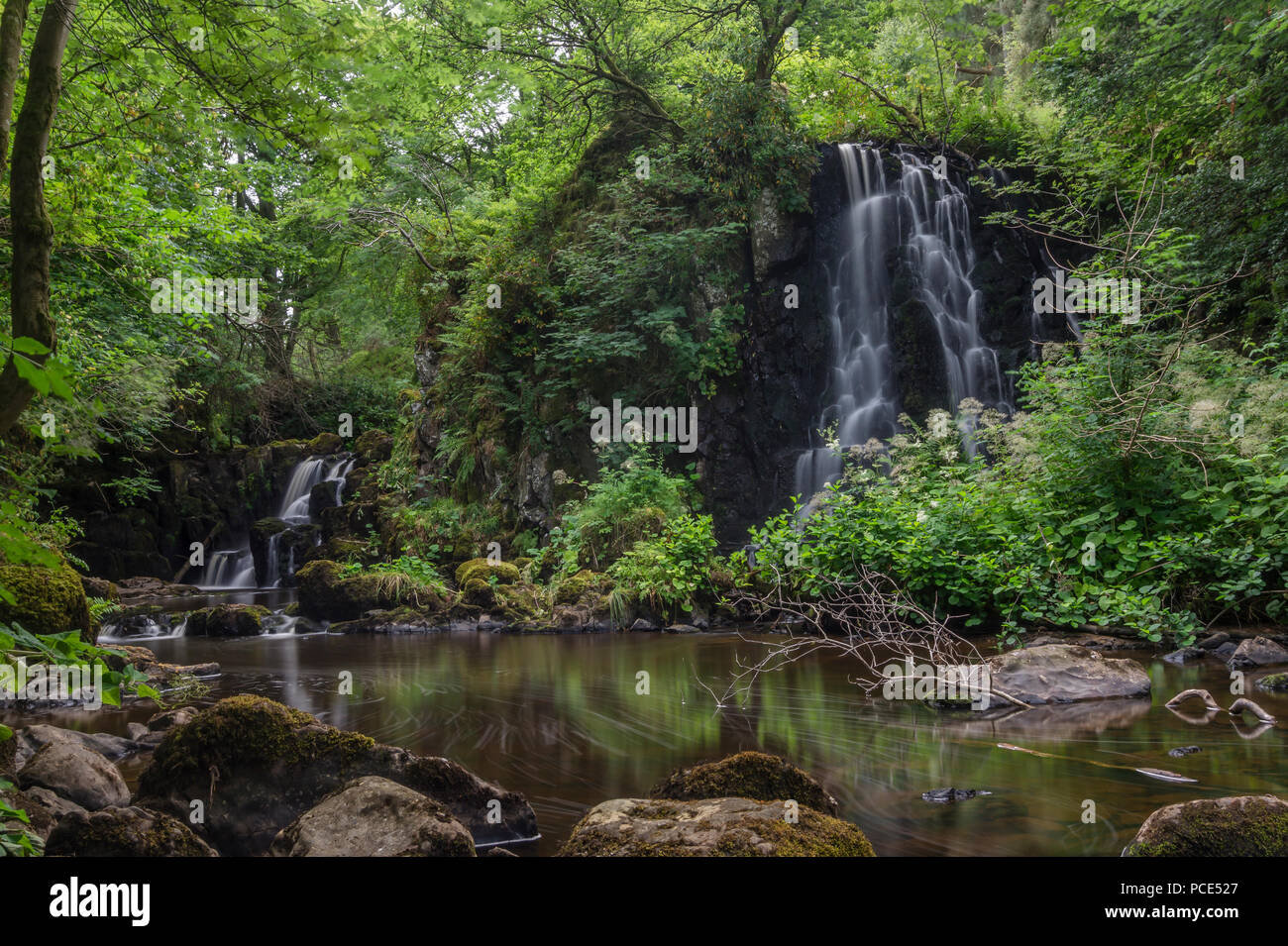 Der Linn Kiefer Wasserfall, südlich von Livingston. Ein echtes, verstecktes Juwel in West Lothian. Hier die Linhouse Wasser fließt über eine Reihe von dramatischen waterf Stockfoto