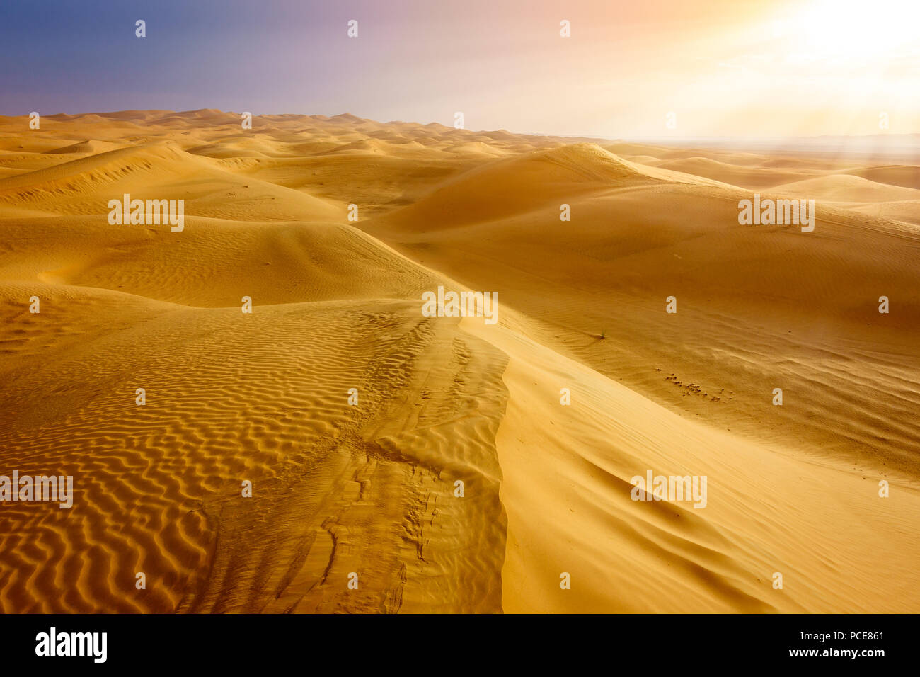 Sanddünen in der Wüste in der Nähe von Al Ain, VAE bei Sonnenaufgang Stockfoto