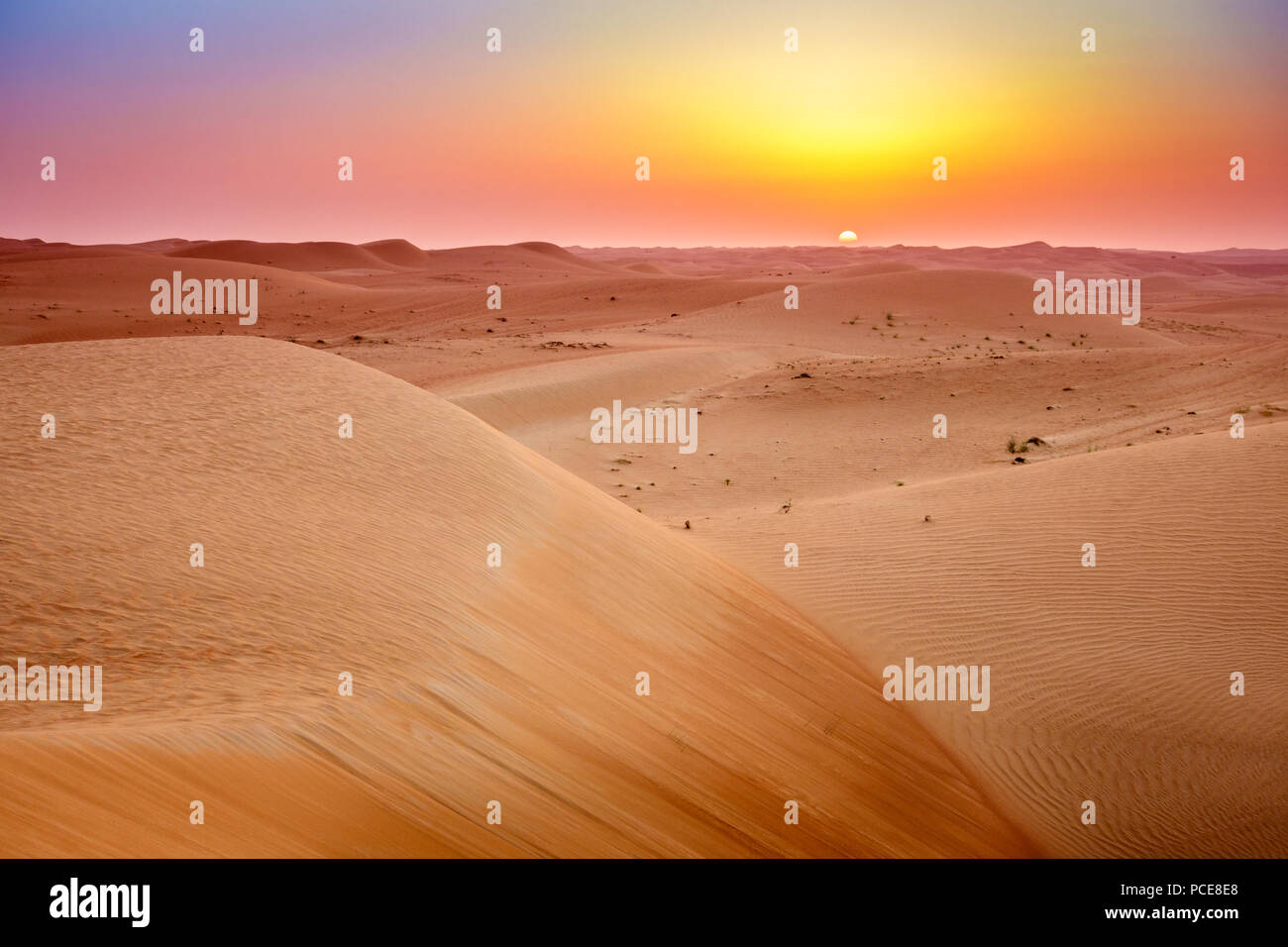 Sonnenaufgang über Dünen von Dubai Desert Conservation Reserve, Vereinigte Arabische Emirate Stockfoto