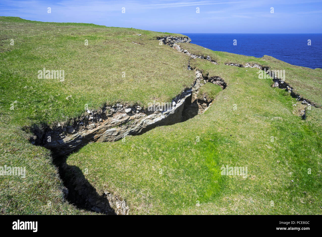Die Erosion der Küsten, riesige Risse und Klüfte im Fels Auf erodierten Sea Cliff, Shetlandinseln, Schottland, Großbritannien Stockfoto