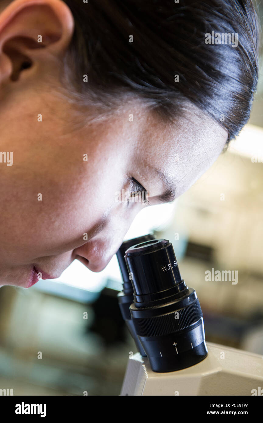 Ein kaukasischer weiblichen techniciain mit einem Mikroskop ein Teil in einem technischen Forschung und Entwicklung vor Ort zu untersuchen. Stockfoto