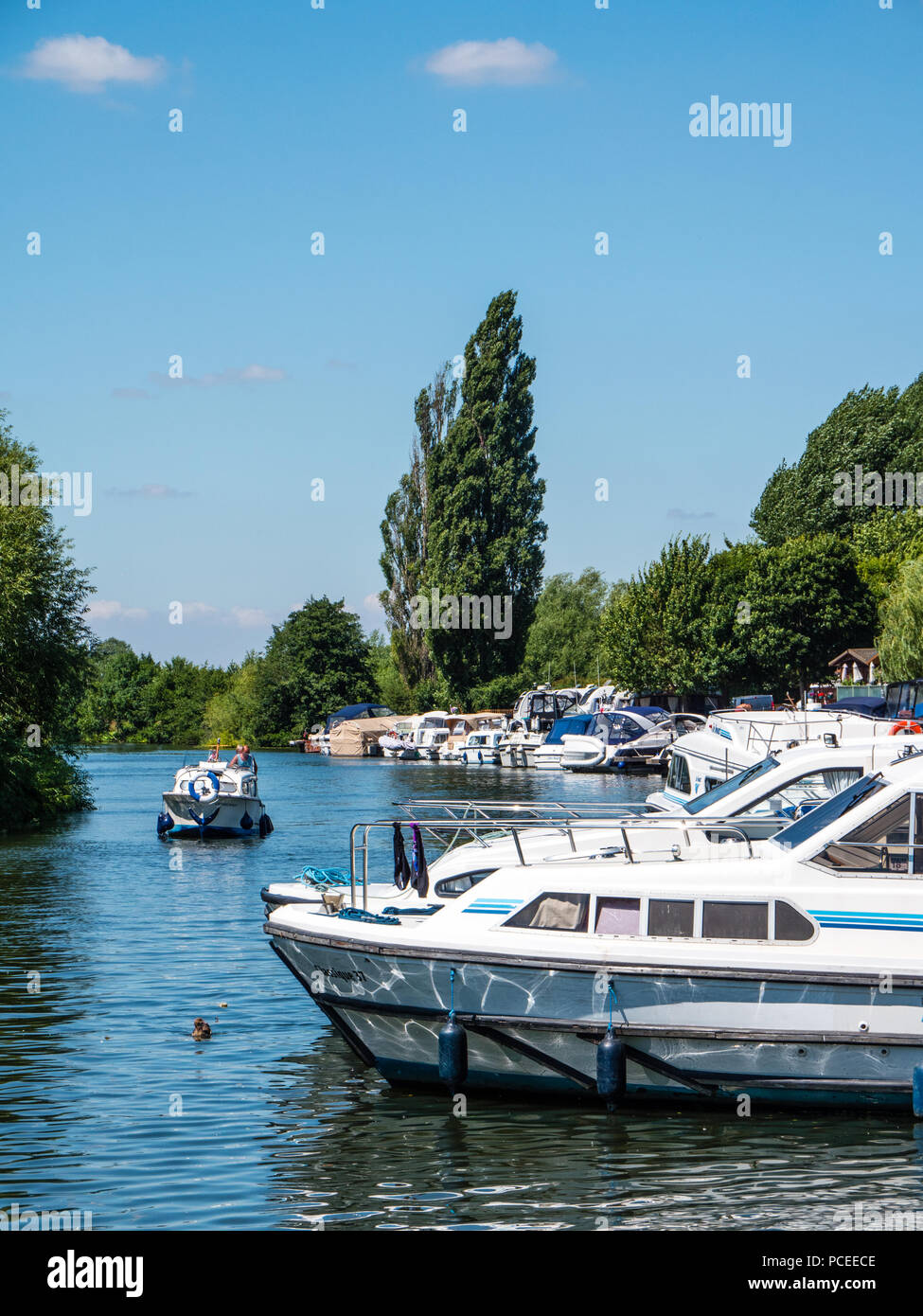 Marina, Benson Waterfront, Benson, Oxfordshire, England, UK, GB. Stockfoto