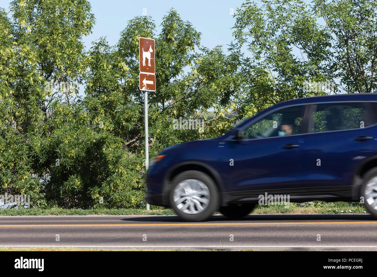 Hund Park direktionale Zeichen, USA Stockfoto