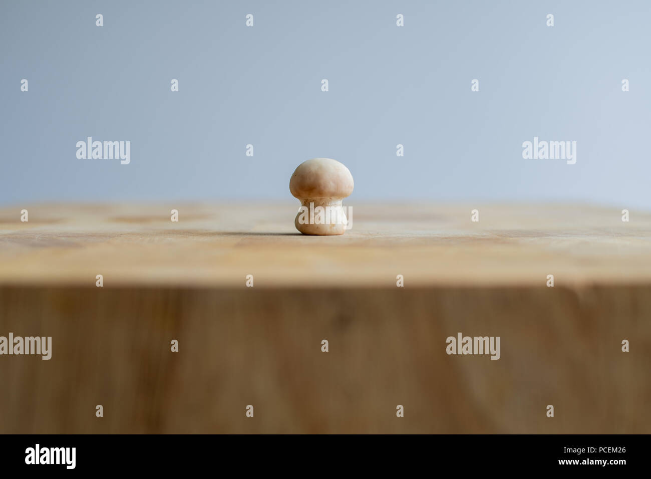 Single Pilz auf einem Schneidebrett im Hintergrund Stockfoto