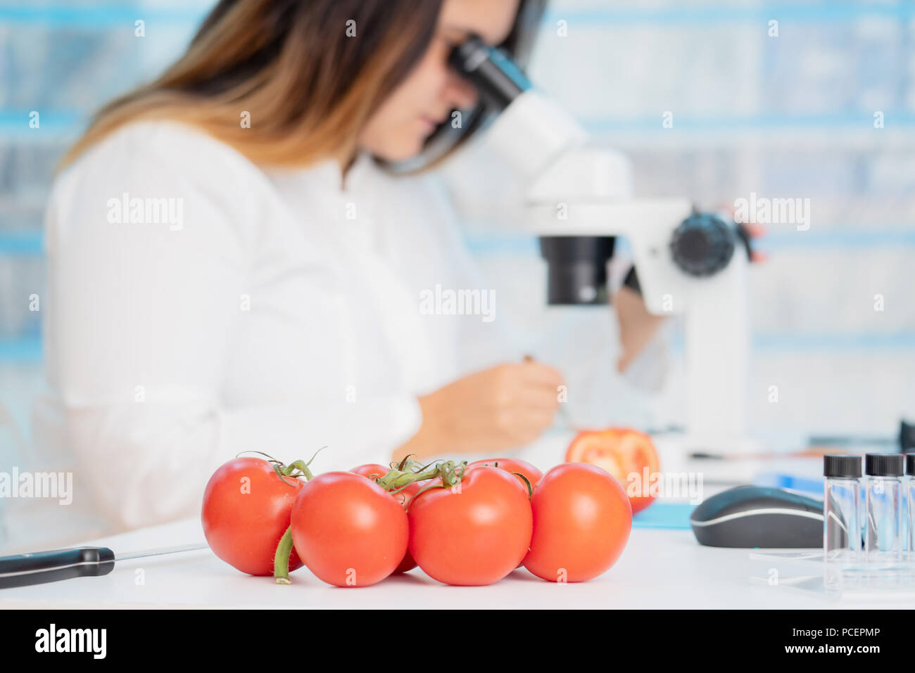 Kontrolle Obst und Gemüse für schädlichen Elementen. Labor für die Überprüfung der Qualität von Lebensmitteln Stockfoto