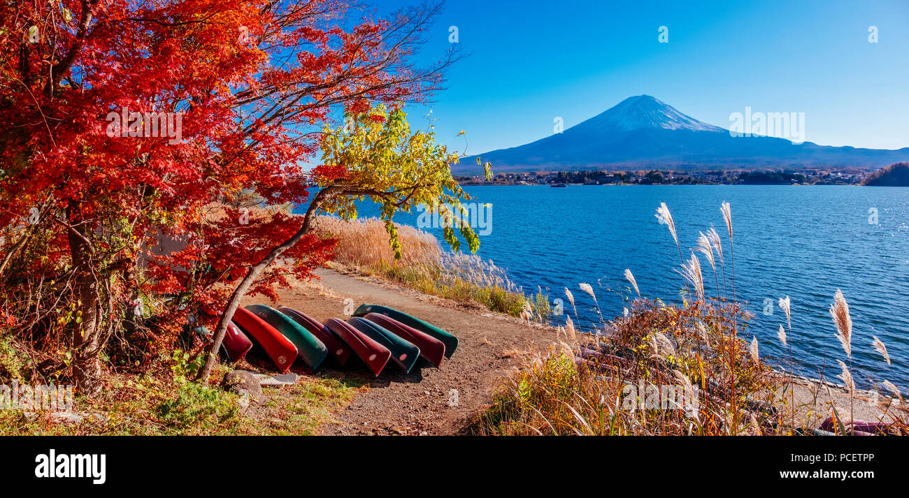 Die schneebedeckten Mount Fuji (Fujisan, 富士山) mit Herbstlaub von Lake Kawaguchi (Kawaguchiko, 河口湖) auf Oishi Park (大石公園), Chubu Region, Japan. Stockfoto