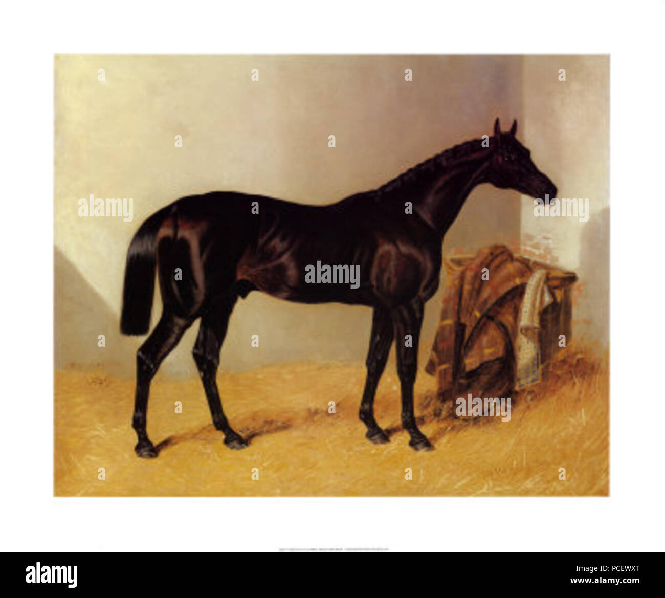 124 Charles XII-1839 - Poster Stockfoto