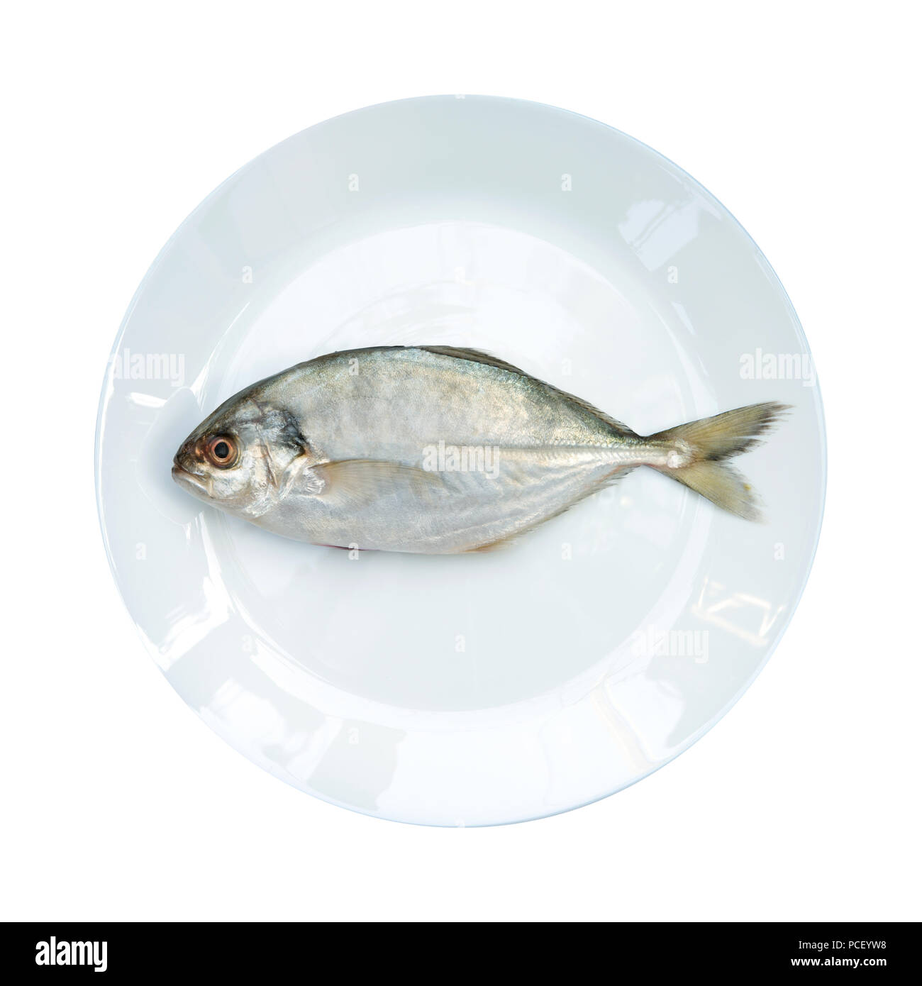 Yellow Tail Scad Fisch, Decapterus Fisch, auf weiße Platte, auf weißem Hintergrund Stockfoto