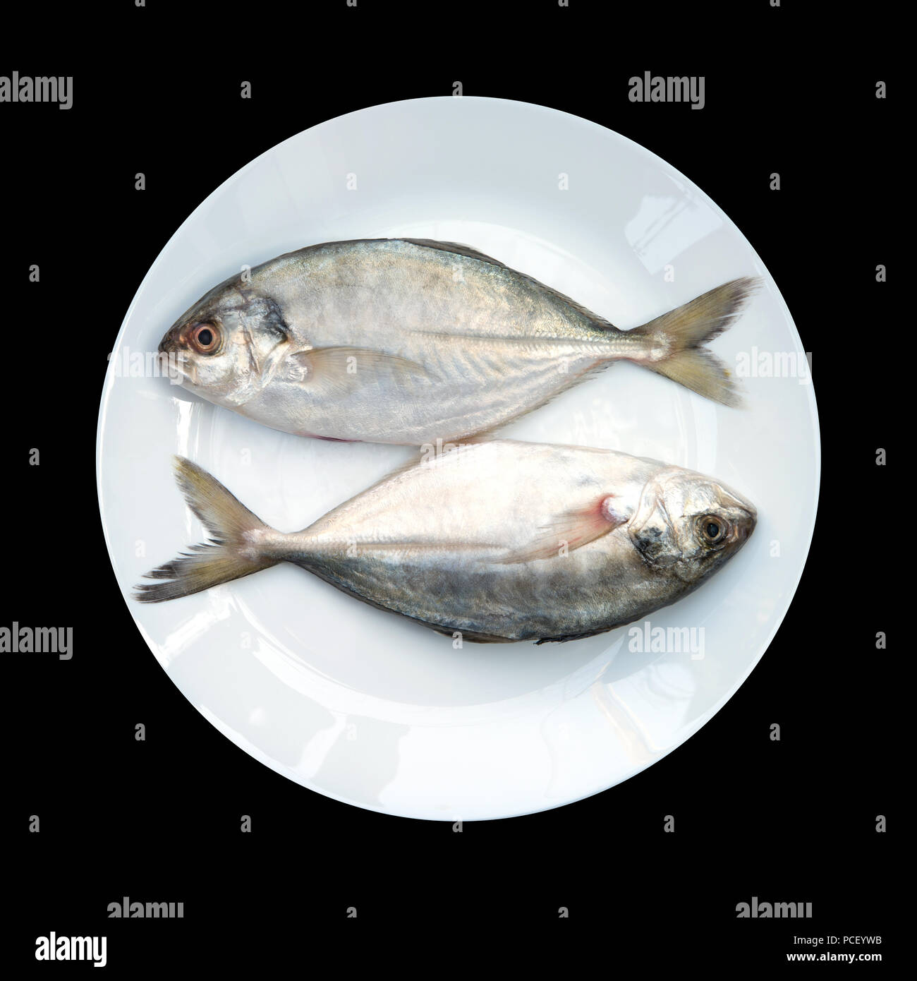 Yellow Tail Scad Fisch, Decapterus Fisch, auf weiße Platte, auf schwarzem Hintergrund Stockfoto