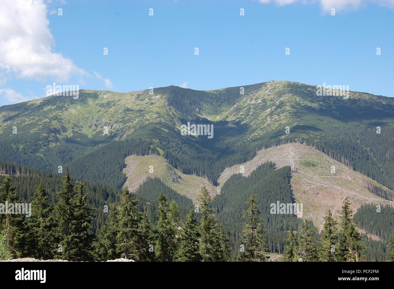 Sommer Landschaft mit grünen Bergen und blauem Himmel in das Resort von Jasna in der Niederen Tatra, Slowakei. Stockfoto