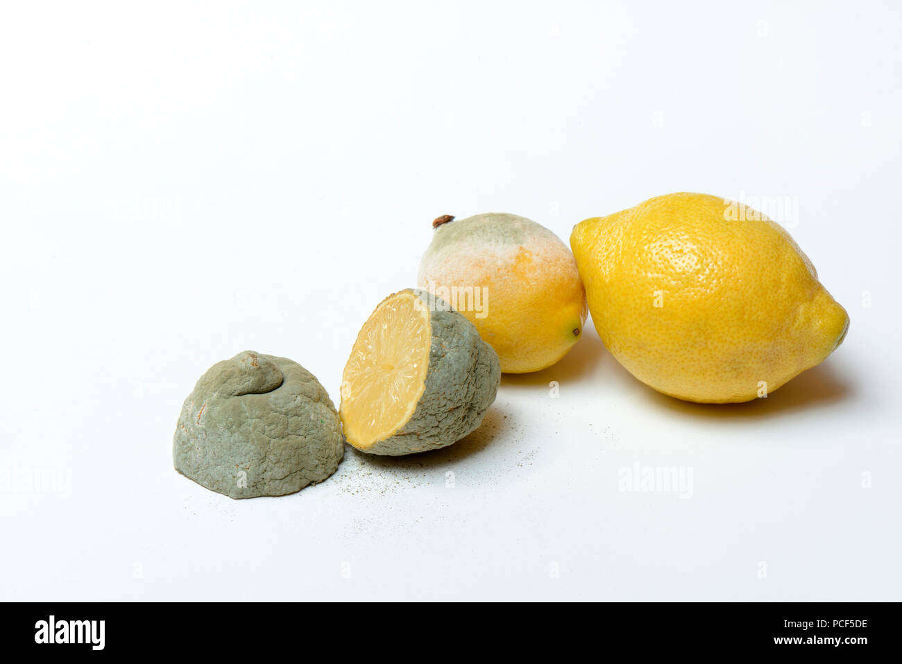 Verschimmelte Zitrone, Schimmel, Citrus Lemon Stockfoto