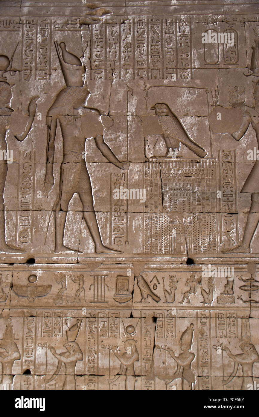 Reliefbilder der Falcon - unter der ägyptische Gott Horus auf dem Tempel von Edfu, in Edfu, Ägypten. Stockfoto