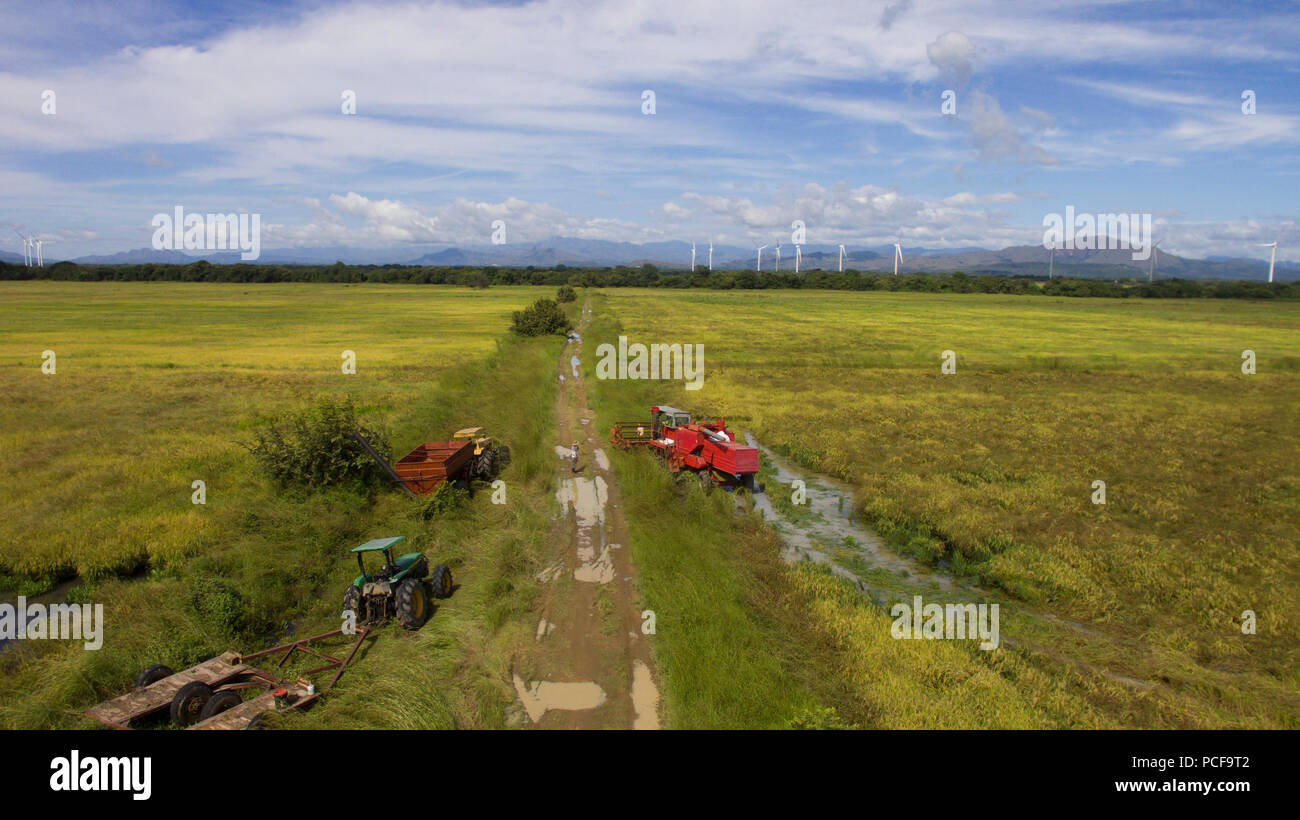 Maschinen bereit, die Ernte in einem Reisfeld in Panama zu erhalten zu beginnen Stockfoto