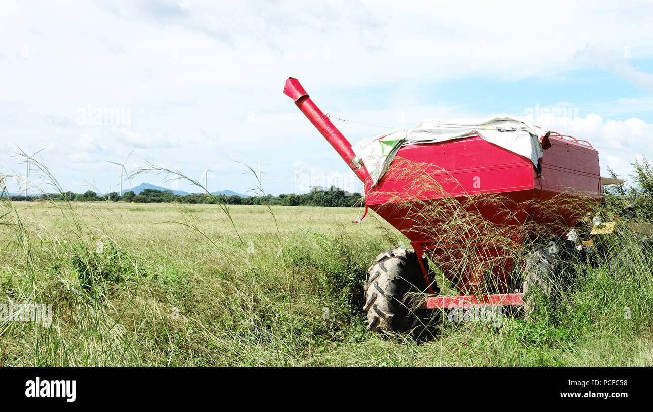 Trailer Korn transfer bin sitzen auf einem Reisfeld in Panama Stockfoto