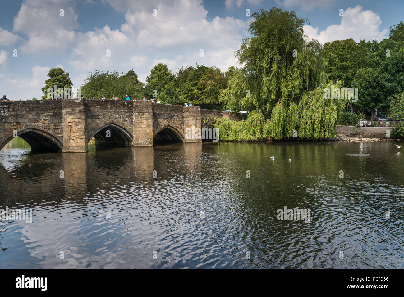 Der Fluss Wye durch Bakewell im Peak District National Park im Sommer, Derbyshire, England Großbritannien Stockfoto