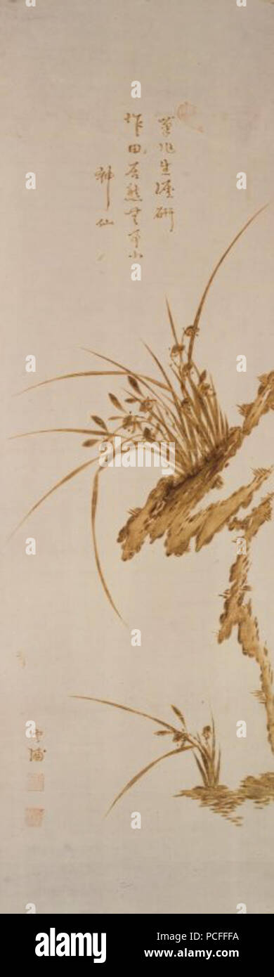 101 Brooklyn Museum - Orchideen und Felsen Stockfoto