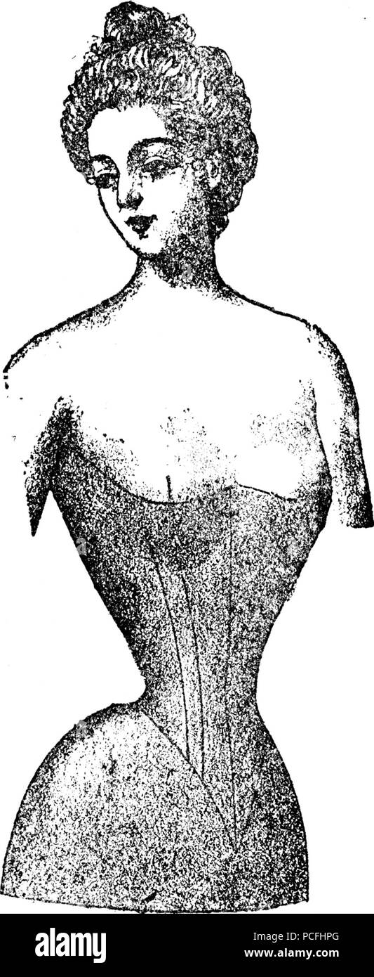 116 Cartonnage talle Longue moderne Stockfoto