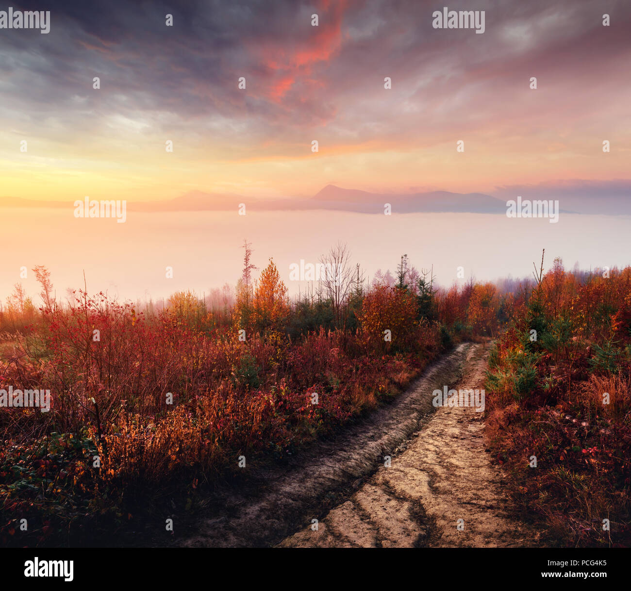 Erstaunliche Szene auf Herbst in den Bergen Stockfoto