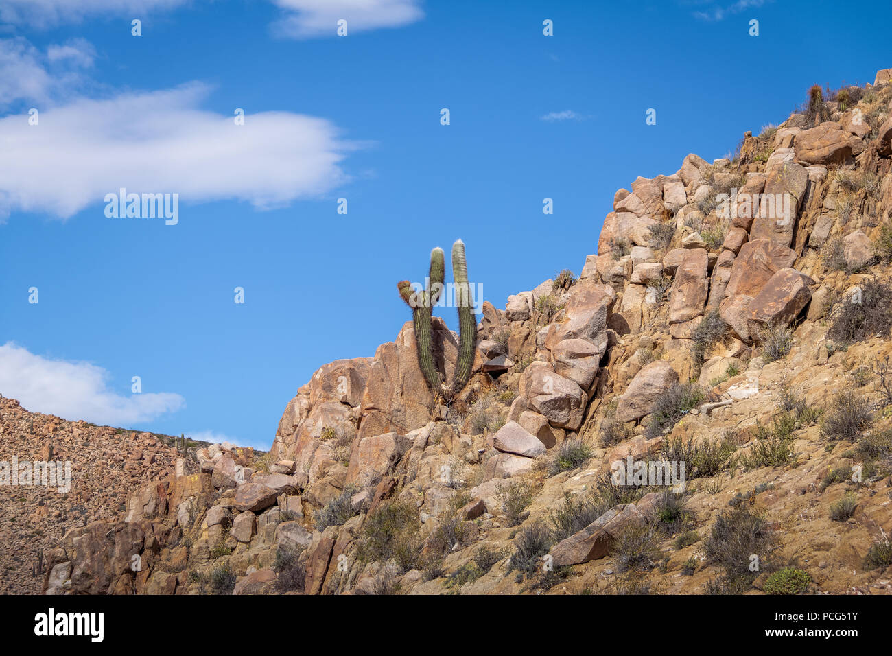 Santa Rosa de Tastil Dorf Berge und Cardones Kaktus - Santa Rosa de Tastil, Salta, Argentinien Stockfoto