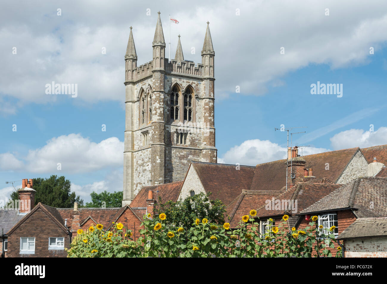 St. Andrew's Anglikanische Pfarrkirche mit Sonnenblumen im Vordergrund, Farnham, Surrey Stockfoto