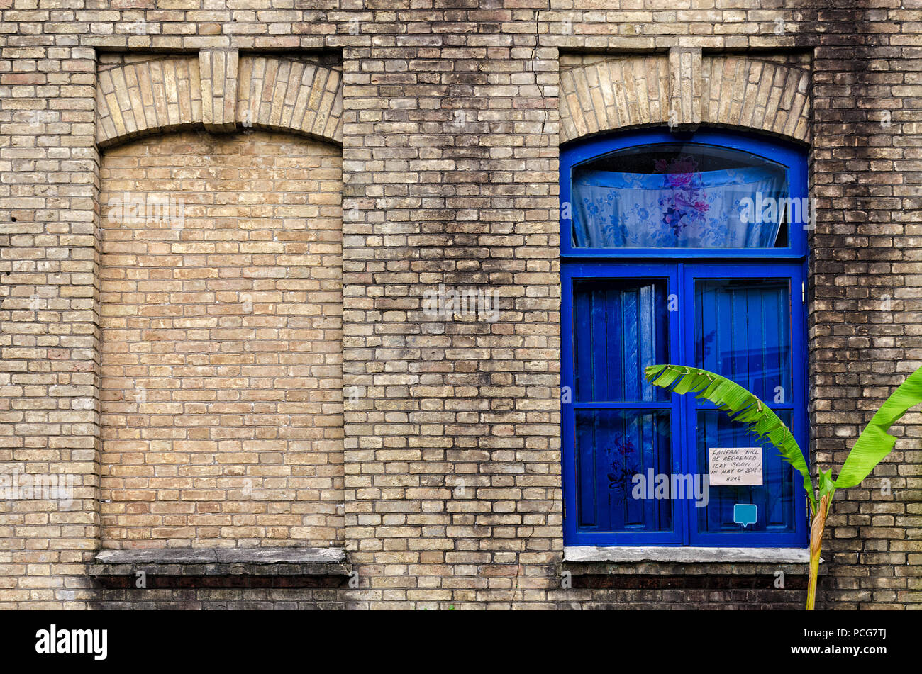 Alte Mauer mit zwei Fenstern, eine falsche, andere mit Glas und Farbe blau Rahmen, grüne Pflanze in der Nähe der Gebäude. Batumi, Georgia. Stockfoto