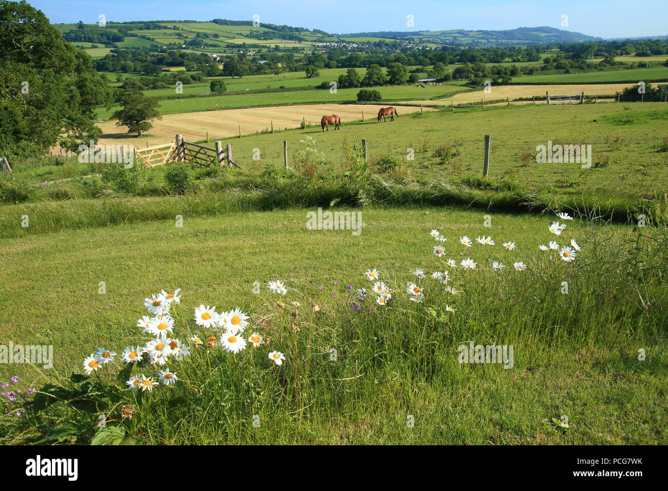 Schöne Ackerland in Ax Tal in East Devon AONB Stockfoto