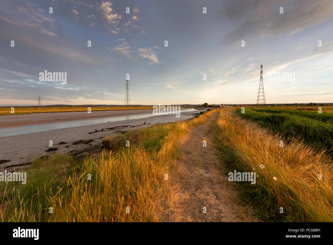 Am frühen Abend, vor Sonnenuntergang Licht über Kent's Wildlife Trust Oare Sümpfe Naturschutzgebiet, Oare, Faversham, Kent, Großbritannien. Pylonen sind sichtbar über den Creek. Stockfoto