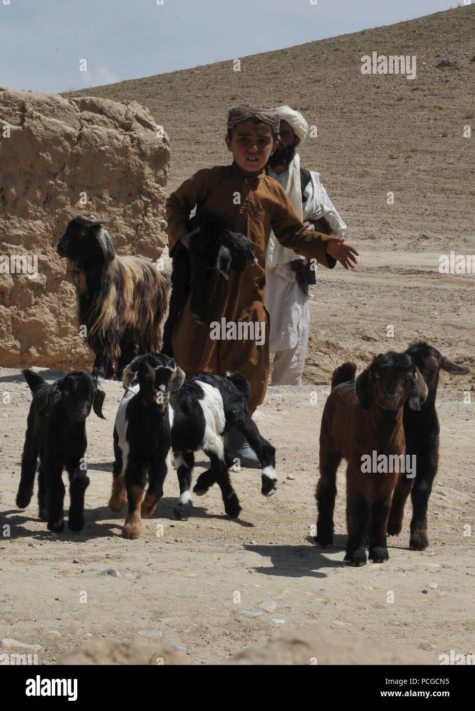 Ein afghanischer Junge lenkt seine Herde von jungen Ziegen auf einer Straße in einem kleinen Dorf in Murayni Bezirk, Provinz Ghazni, Afghanistan, April 3. Stockfoto