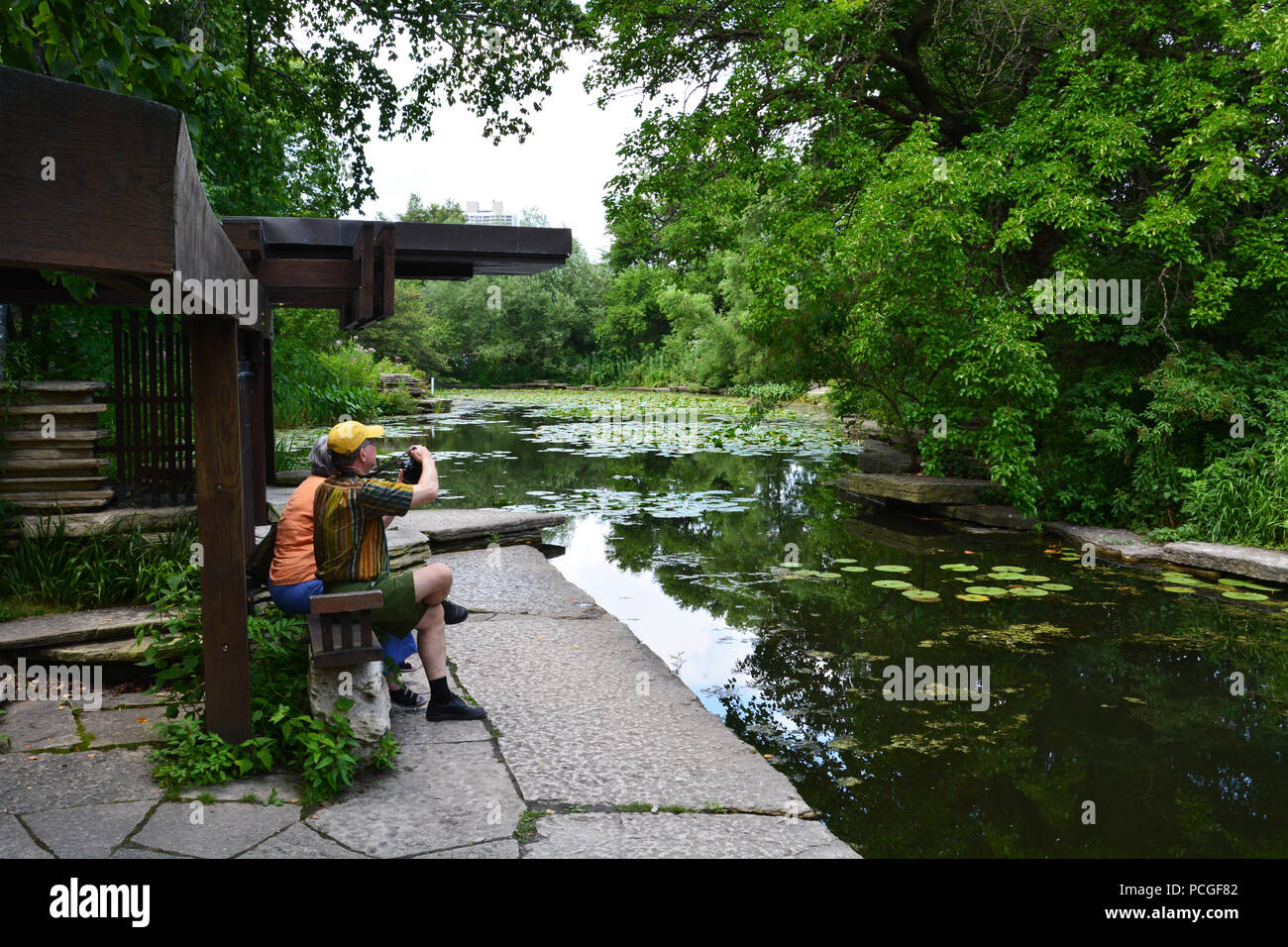 Die Alfred Caldwell Lily Pool am Lincoln Park Zoo ist dafür ausgelegt, einen Fluss zu ähneln, der sich durch einen mittleren Westen der Prärie. Stockfoto