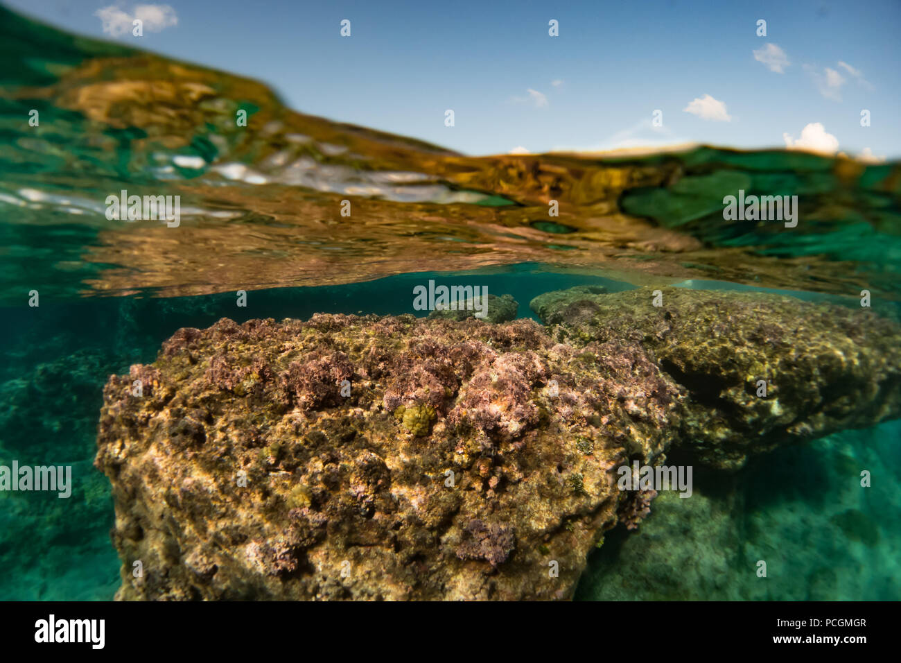 Ein über und unter Shot mit dem Riff auf niau Atoll der Tuamtous von Französisch Polynesien Stockfoto