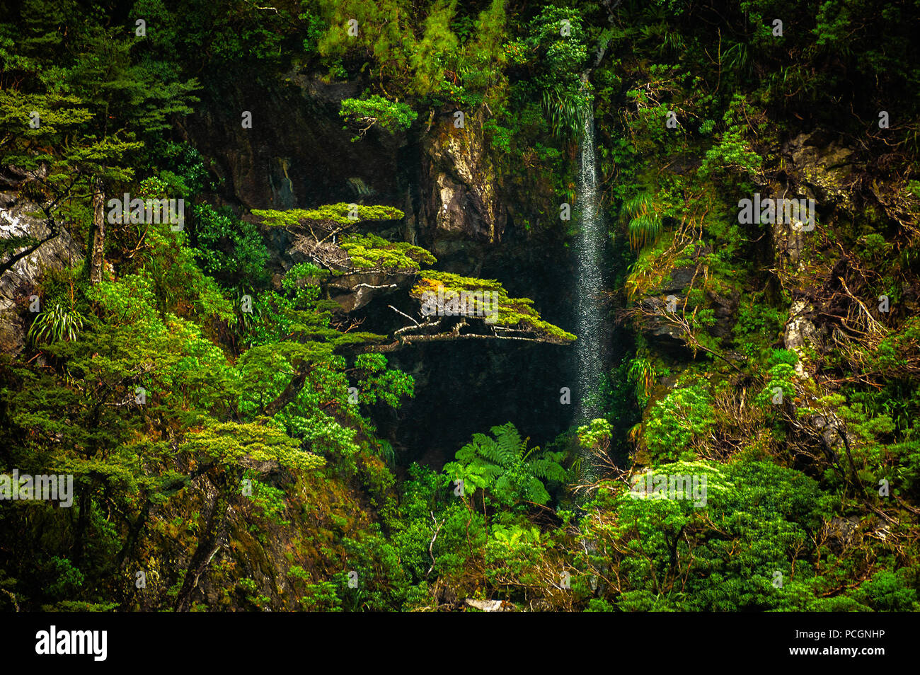 Die Schone Landschaft Der Verschiedenen Baume Wachsen Auf Einem Berg Mit Wasserfall Und Kleine Hohle Stockfotografie Alamy