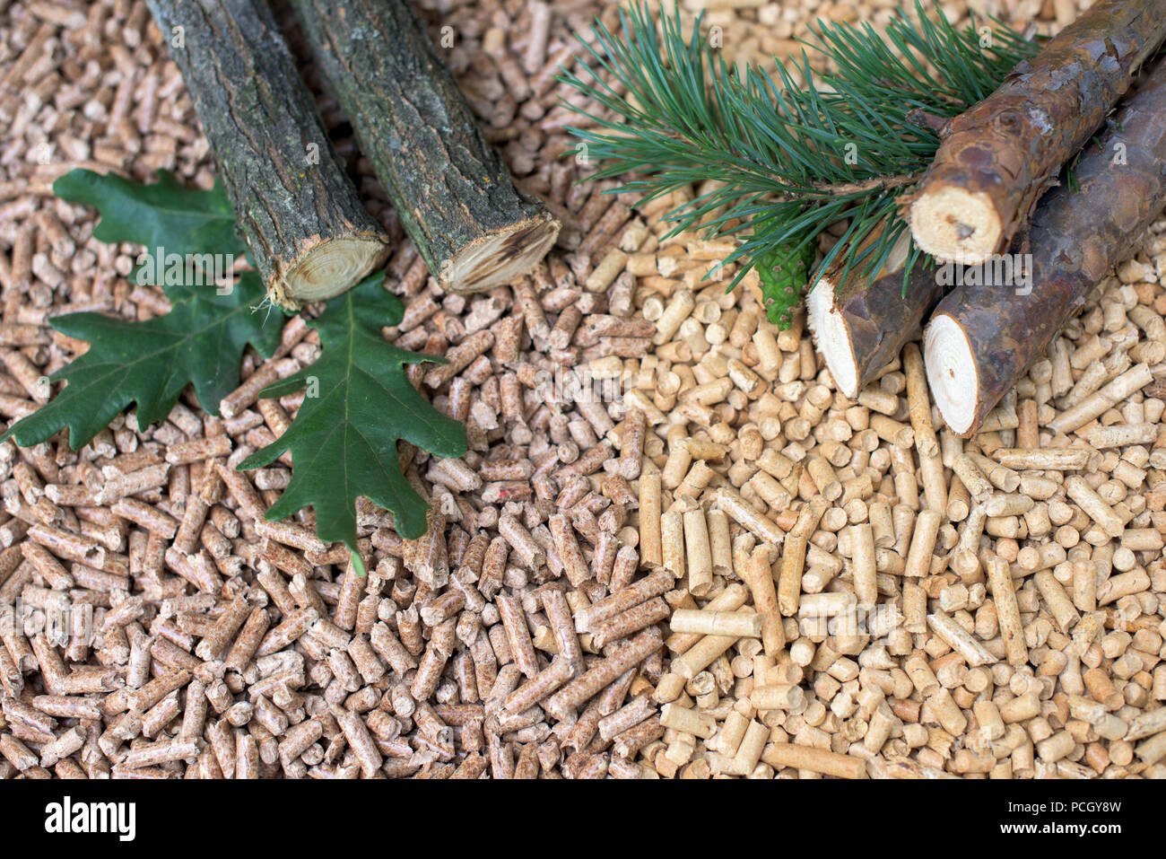 Eiche und Haufen Biomasse - Pellets, Holz, Blätter, Kegel Stockfoto