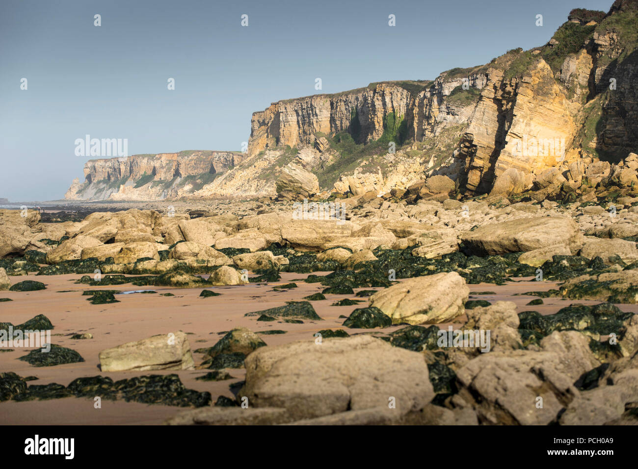 Longues-sur-Mer (Normandie, Frankreich): Klippen von Marigny, Standort der Felsen der Bessin Bereich Stockfoto