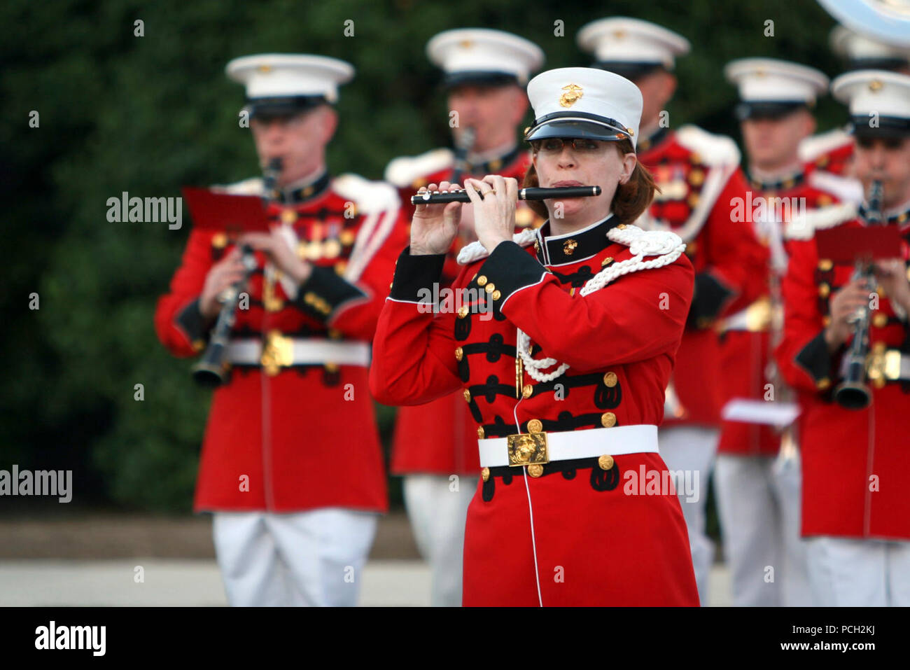 WASHINGTON (Aug. 21, 2008) ein Mitglied der "President's eigenen 'United States Marine Band die Piccolo während einer Parade von Marine Barracks Washington spielt. Die Marine Band, 1798 gegründet, ist die älteste durchgehend aktive professionelle musikalische Organisation im Land. Stockfoto