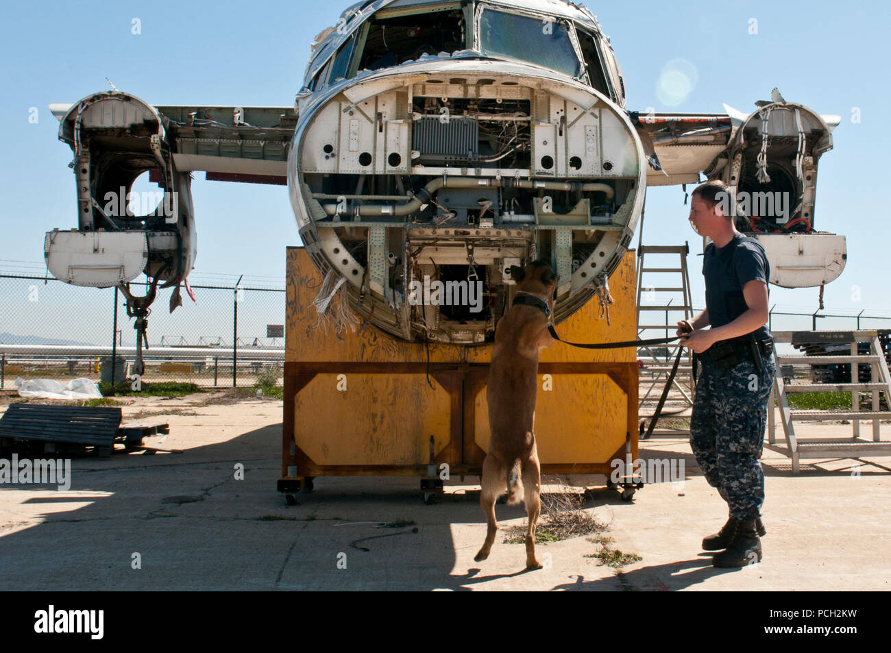 SAN DIEGO (Feb. 25, 2013) Master-at-Arms Seaman Apprentice Randy Tallman, zum Kommandanten zugewiesen, Marine Region Südwest, folgt einer militärischen arbeiten Hund während einer explosivstoffabfragung Training. Stockfoto