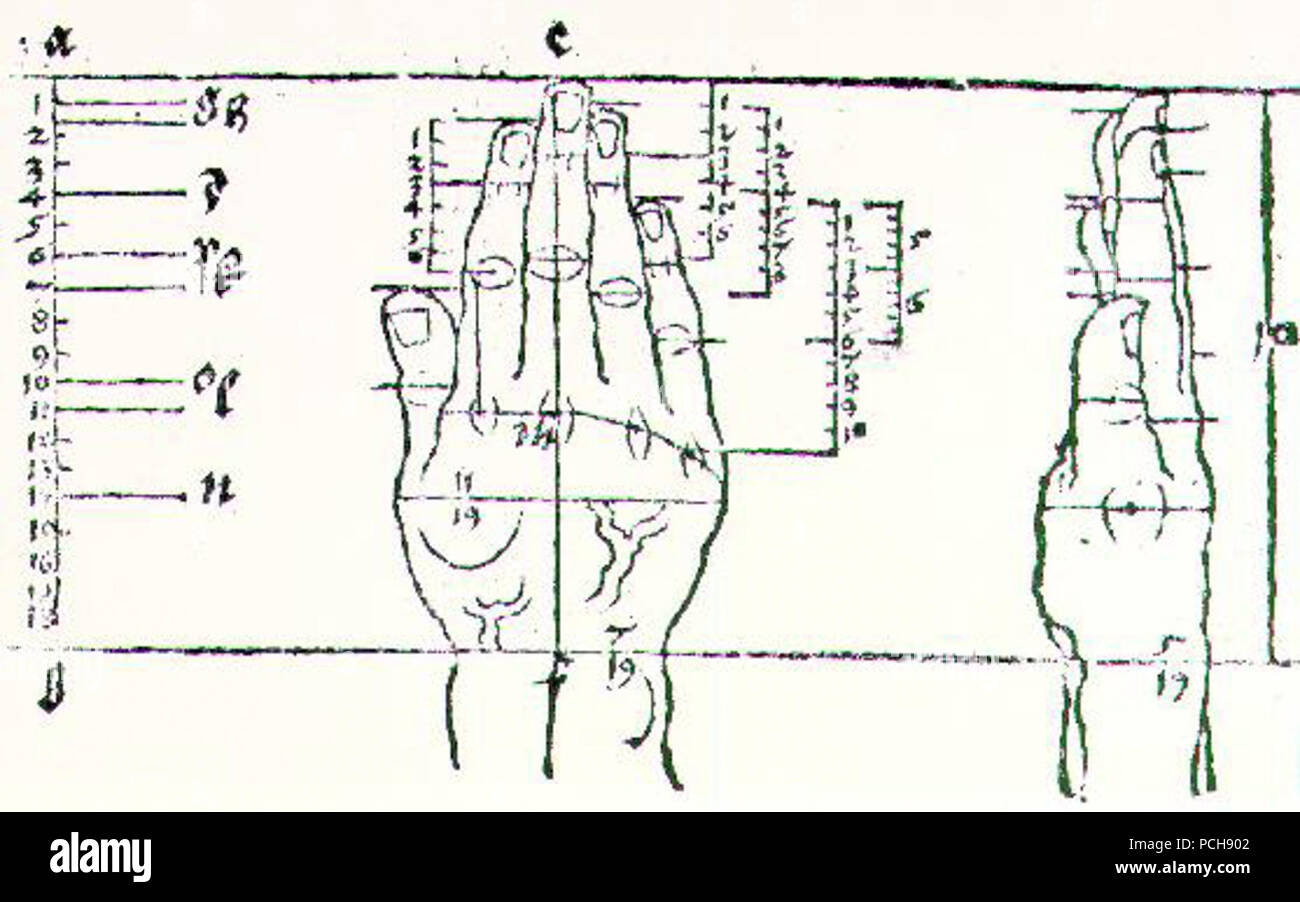 Albrecht Dürer - Hand - Stockfoto