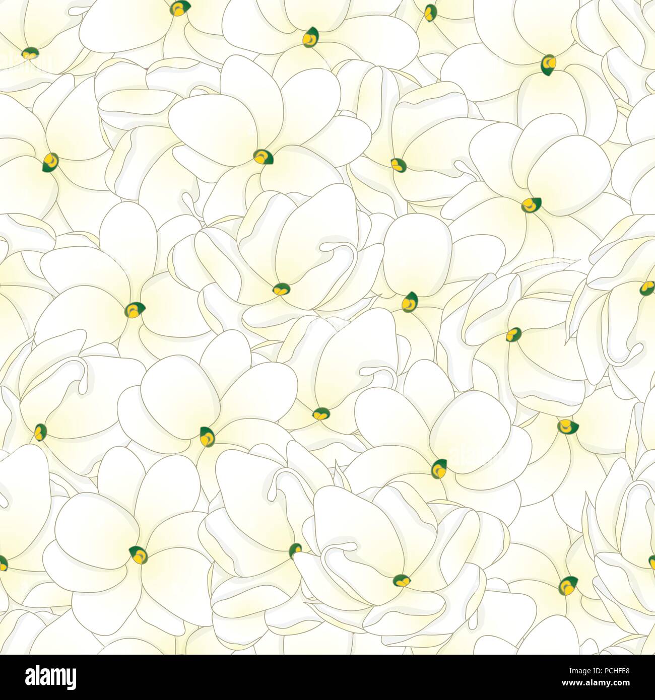 Jasminum sambac - Arabischer Jasmin nahtlose Hintergrund. Vector Illustration. Stock Vektor