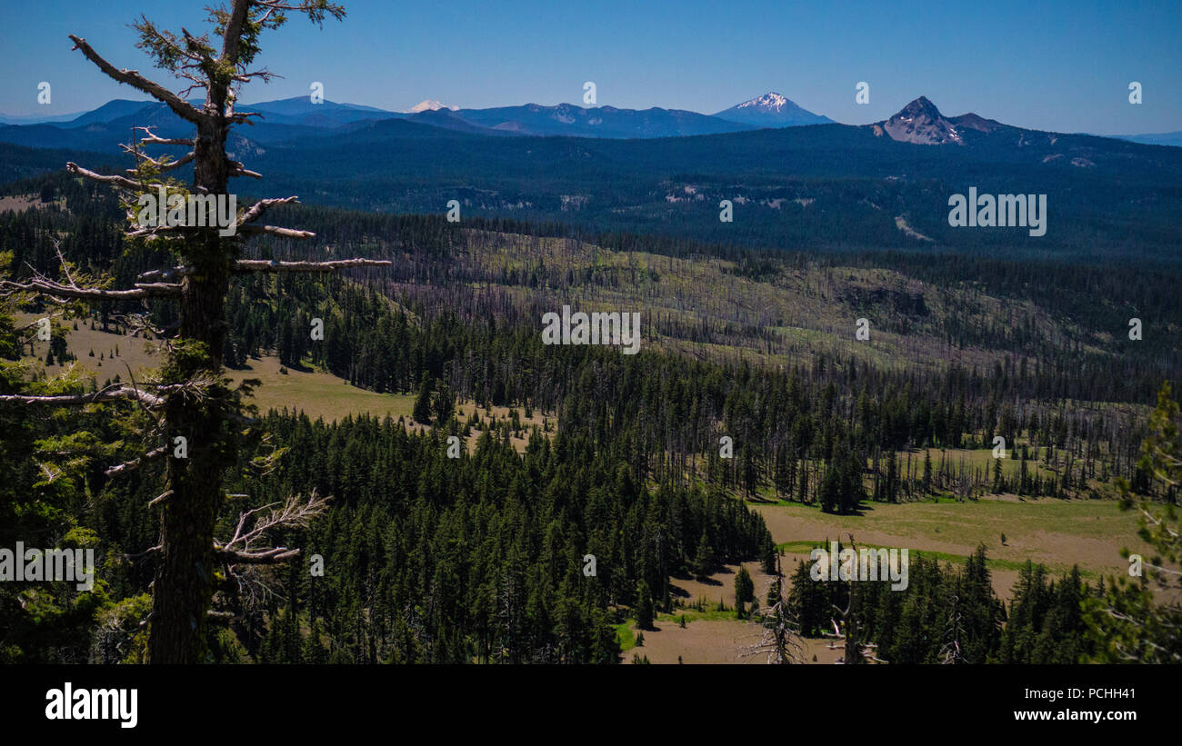 Oregon Wildnis Stockfoto