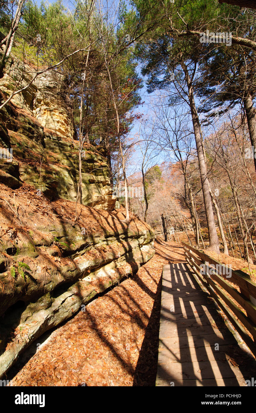 Trail in Tonti Canyon verhungerte Rock State Park, Illinois Stockfoto