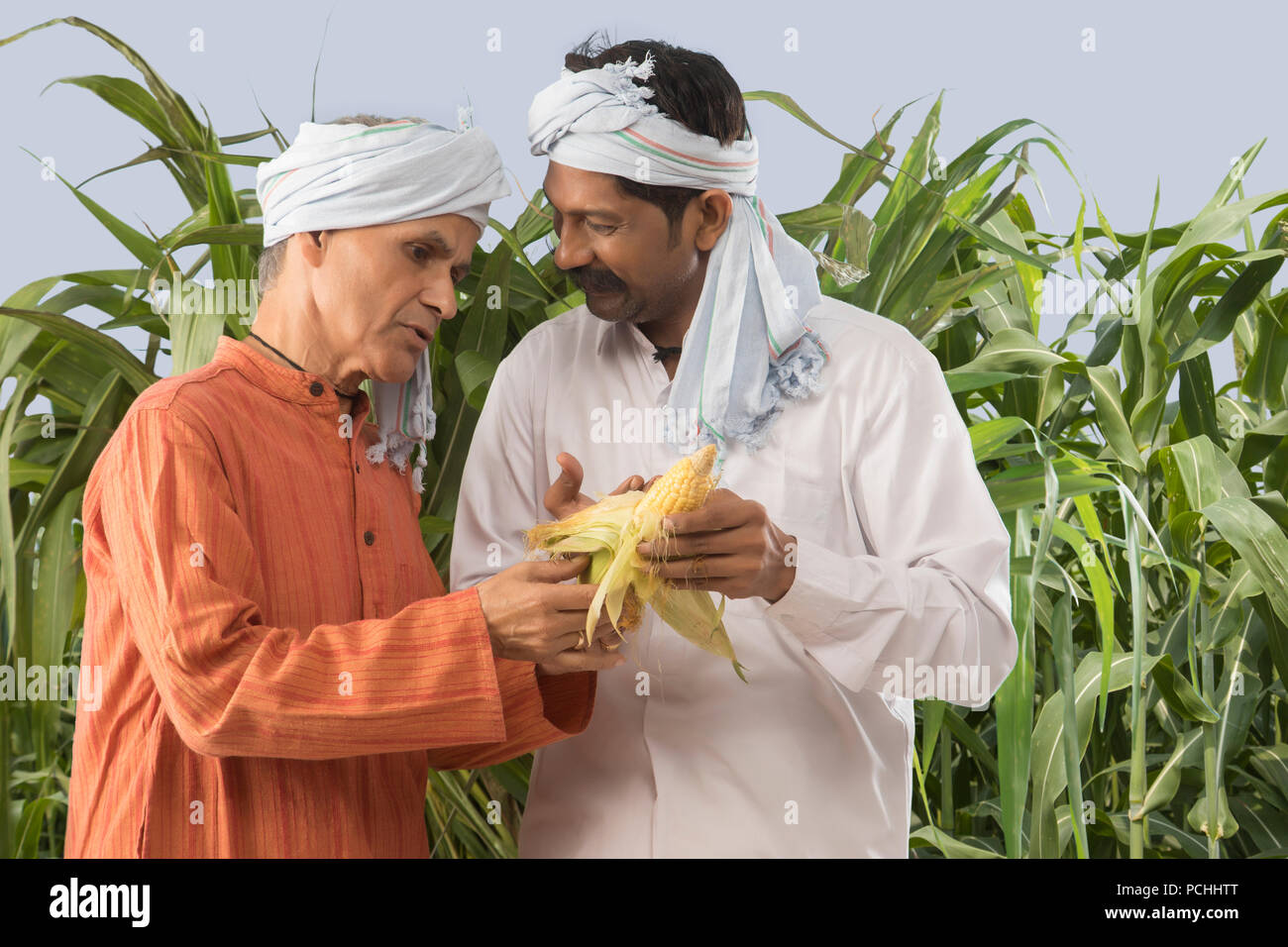 Zwei Landwirte halten frisch Mais vom Feld ausgewählt Stockfoto