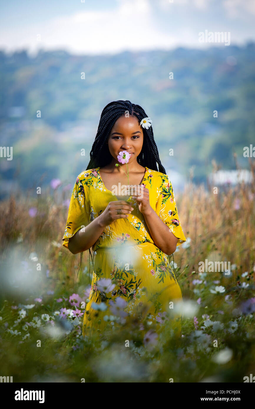 Junge afrikanische Frau mit einer Blume in einem Feld Stockfoto