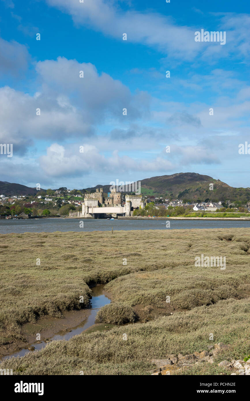Anzeigen von Conwy Castle aus über die Mündung des Flusses Conwy, North Wales, UK. Ein sonniger Frühlingstag. Stockfoto