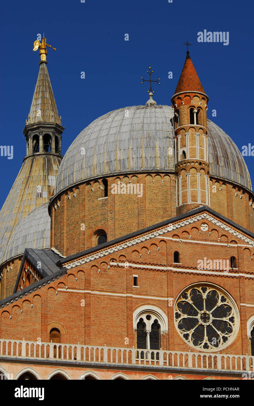 Basilika des Heiligen Antonius von Padua schöne Kuppeln und Türmen (14. Jahrhundert) Stockfoto