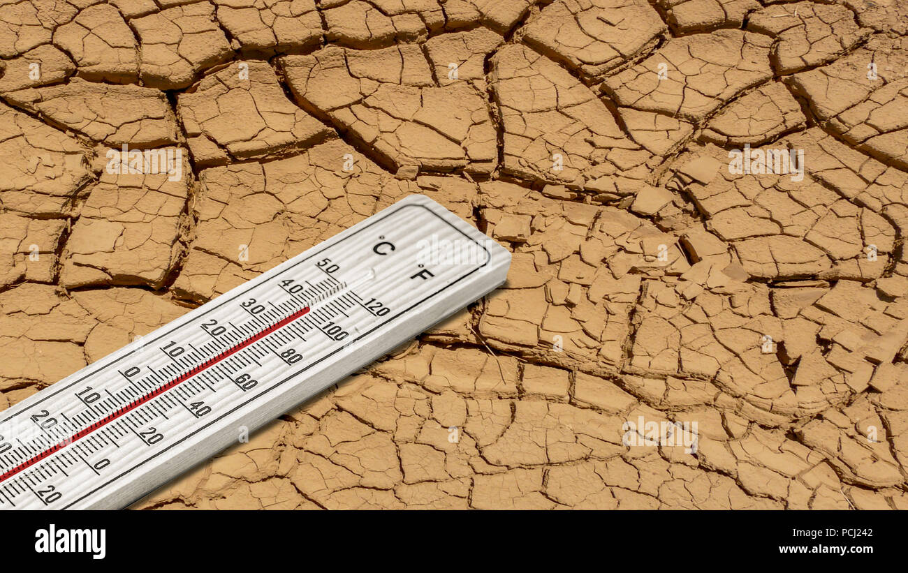 Trockener Boden bei 40 Grad Hitze Stockfoto