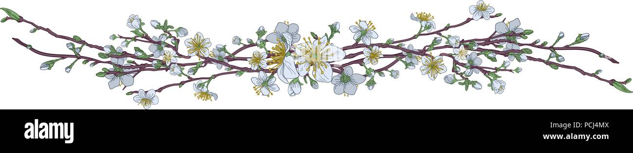 Cherry Peach Blossom Blumen Muster Stock Vektor