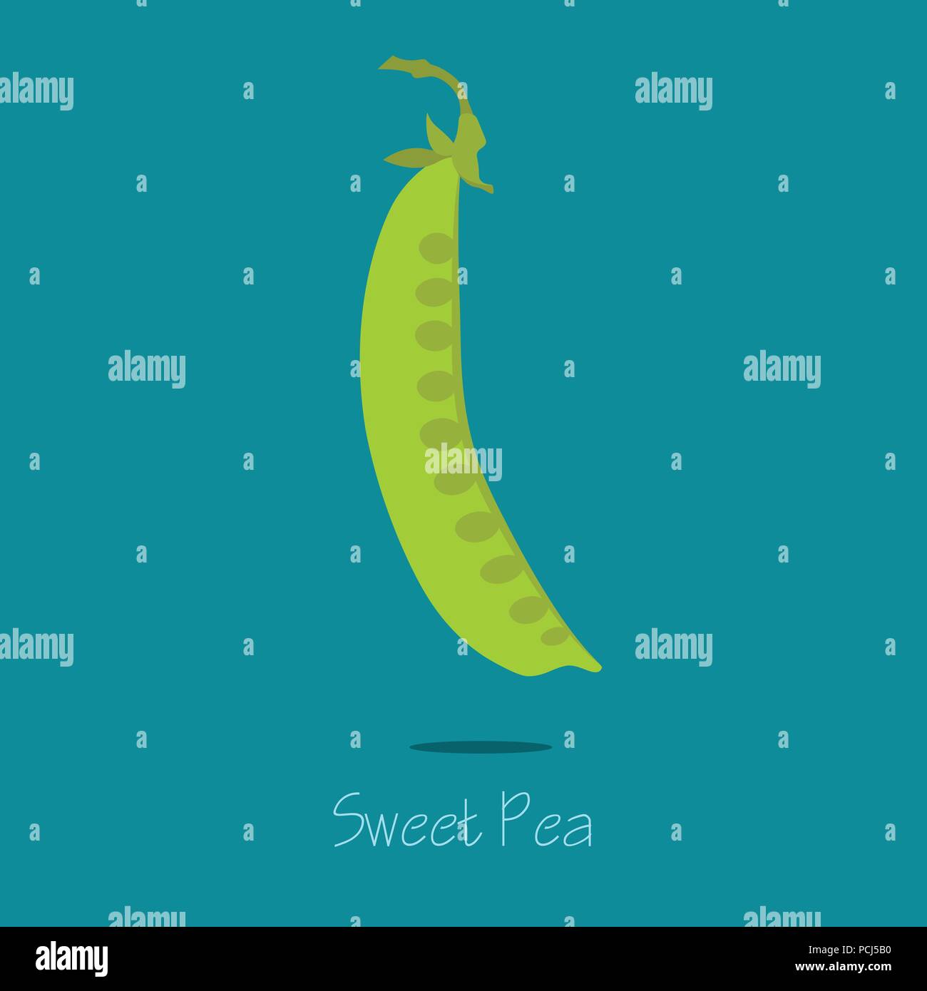Sweet Pea-Karte. Vector Illustration EPS 10. Stock Vektor