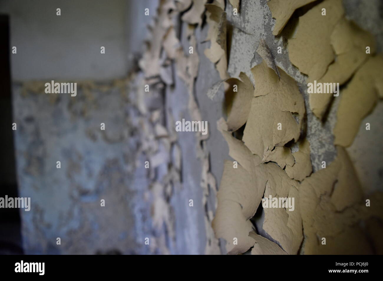 Verlorene Orte, verwitterte Wand, zerstörerischen Zeit, Ungarn Stockfoto